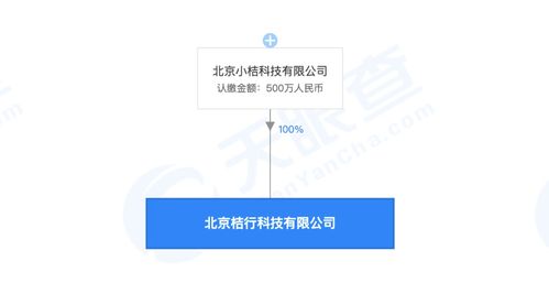 滴滴成立桔行科技公司，注册资本500万元，聚焦信息技术咨询服务